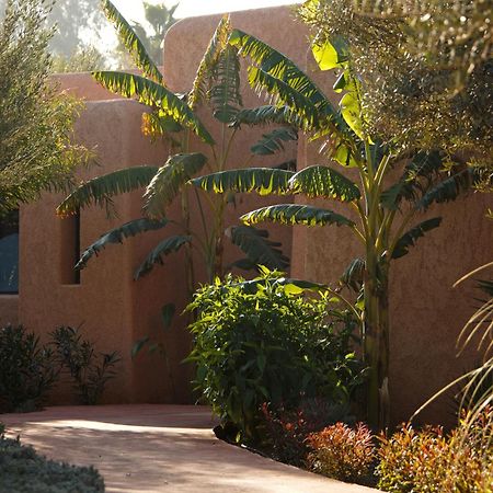 Oasis Lodges El Makina Exteriér fotografie
