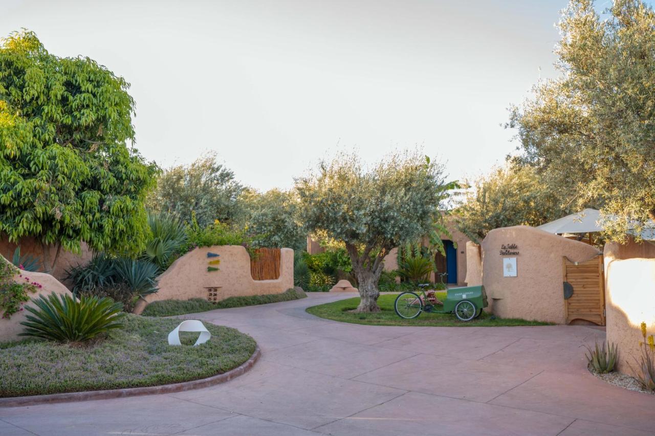 Oasis Lodges El Makina Exteriér fotografie