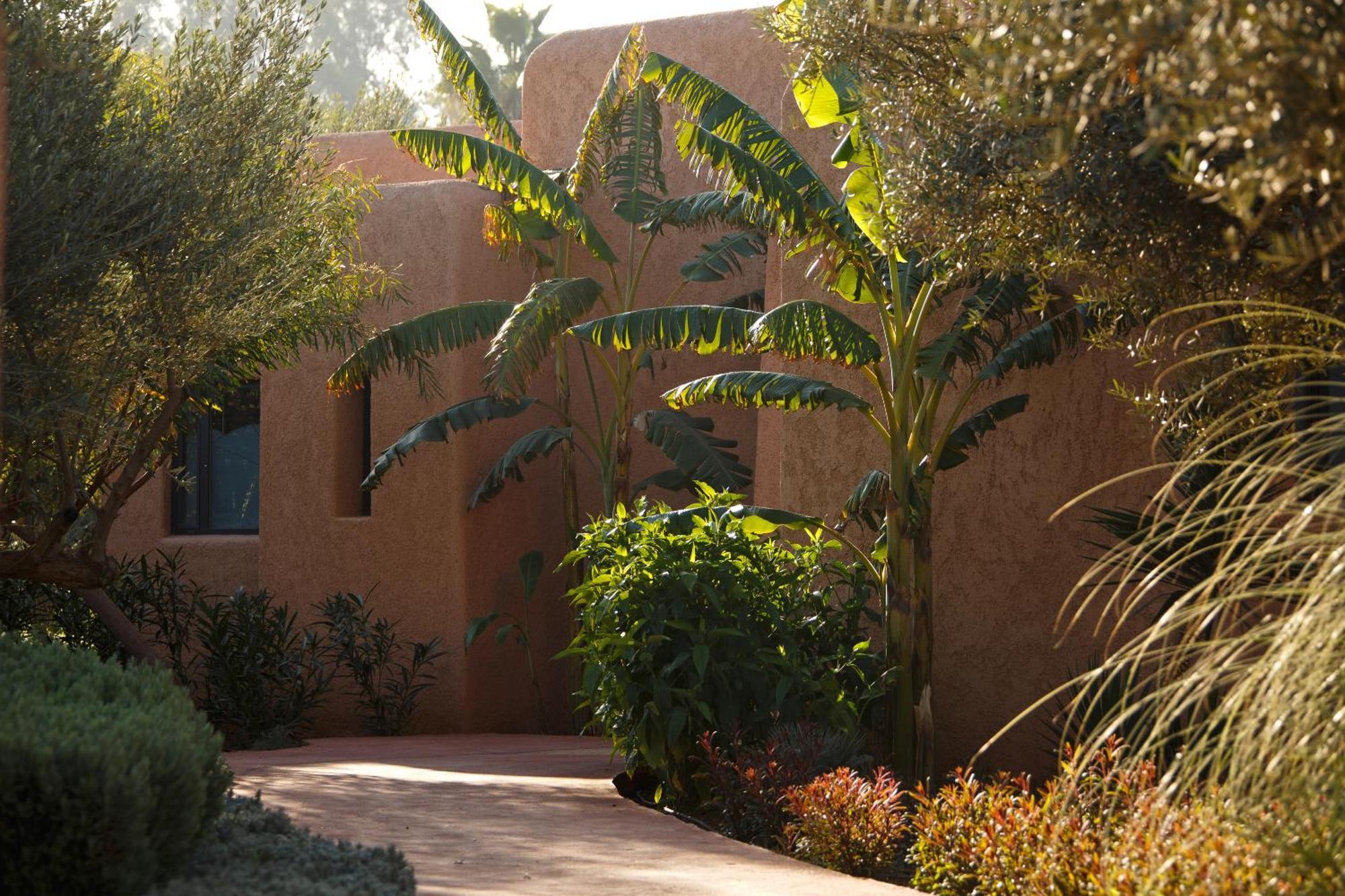 Oasis Lodges El Makina Exteriér fotografie